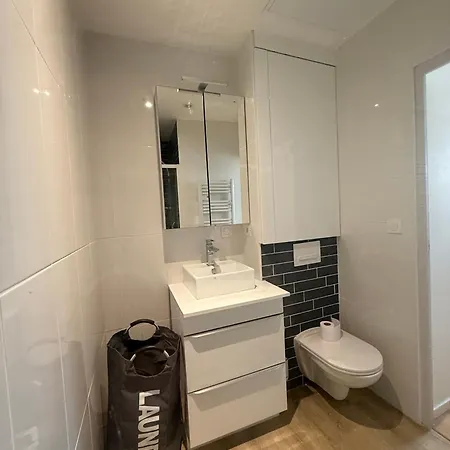 L'escapade Choletaise 公寓 绍莱