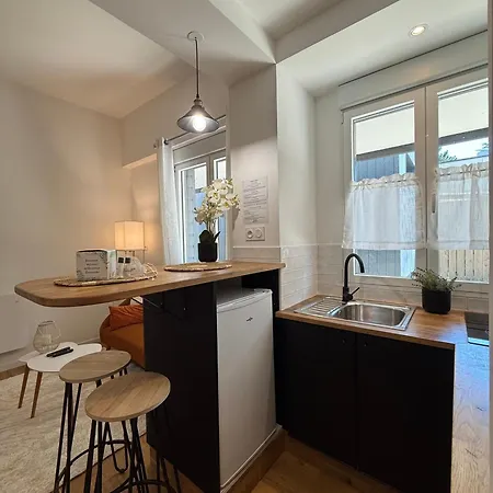 L'escapade Choletaise 公寓 绍莱