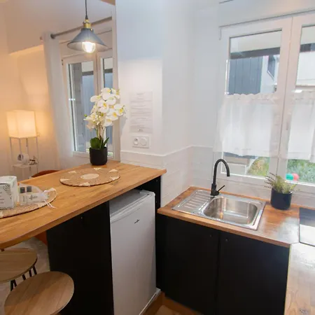 L'escapade Choletaise 公寓 绍莱